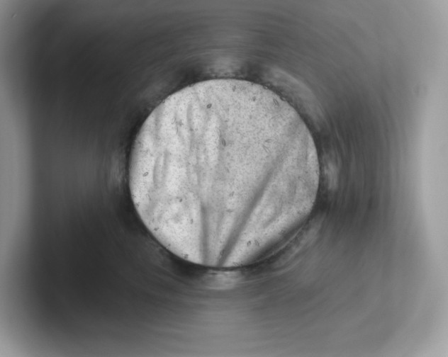 X0000101470665200807281020