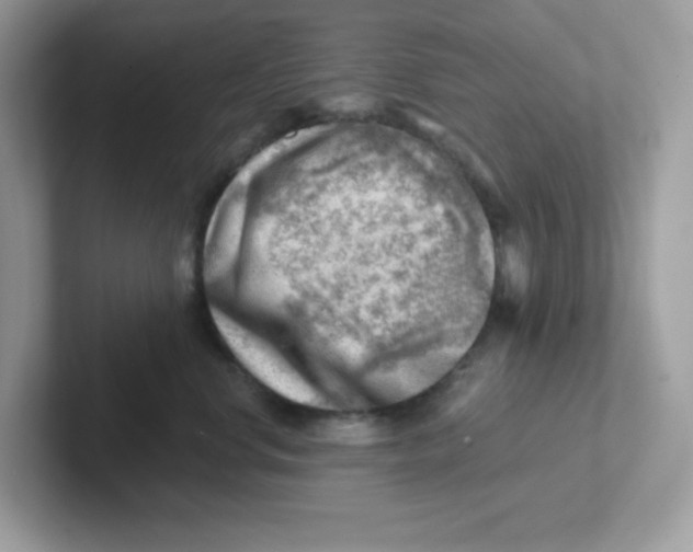 X0000101470668200807281020