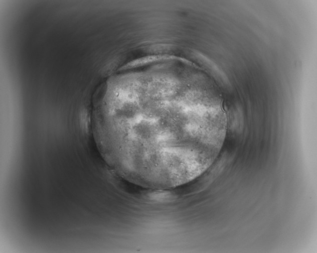 X0000101470669200807281020