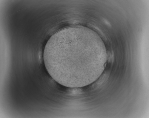 X0000101470670200807281020