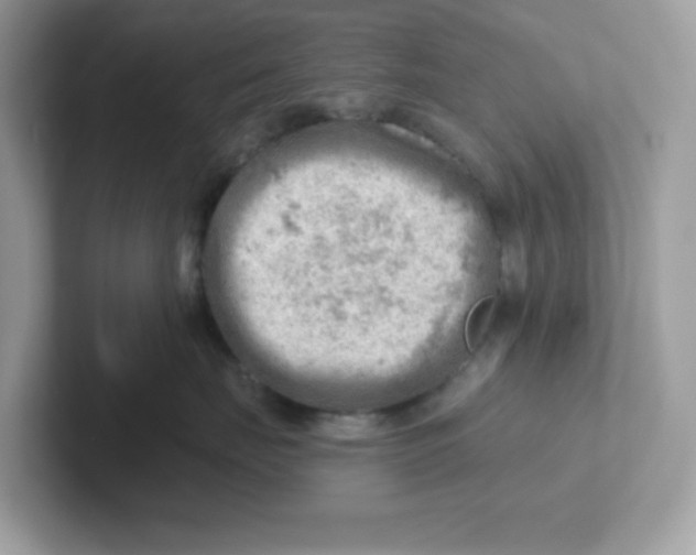 X0000101470671200807281020