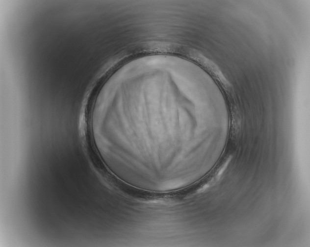 X0000101470674200807281020