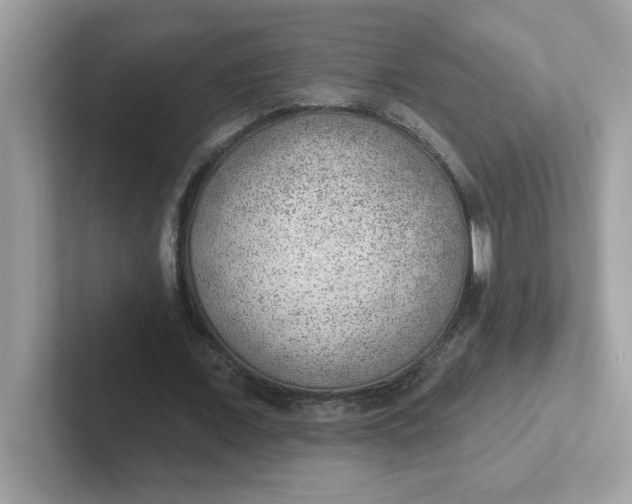 X0000101470675200807281020