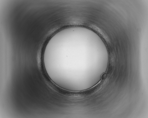 X0000101470677200807281020