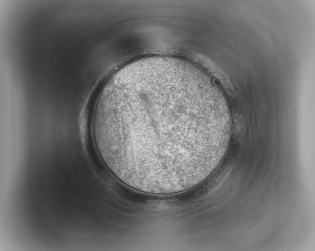 X0000101470679200807281020