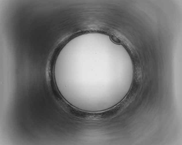 X0000101470680200807281020