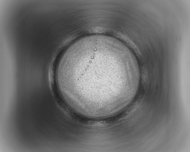 X0000101470683200807281020