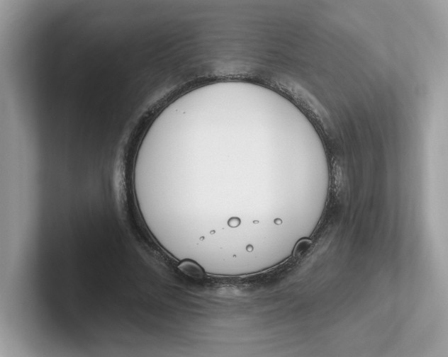 X0000101470684200807281020