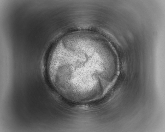 X0000101470687200807281020