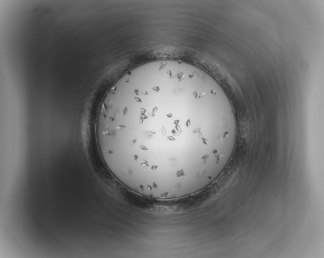 X0000101470690200807281020