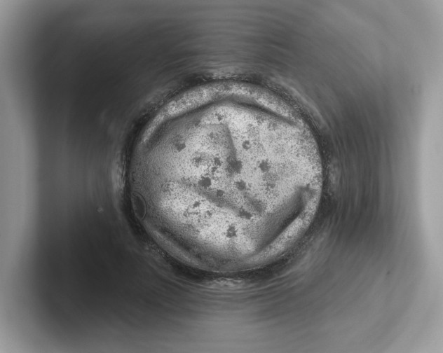 X0000101470691200807281020