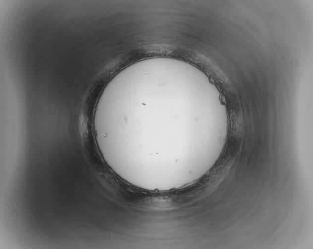 X0000101470692200807281020