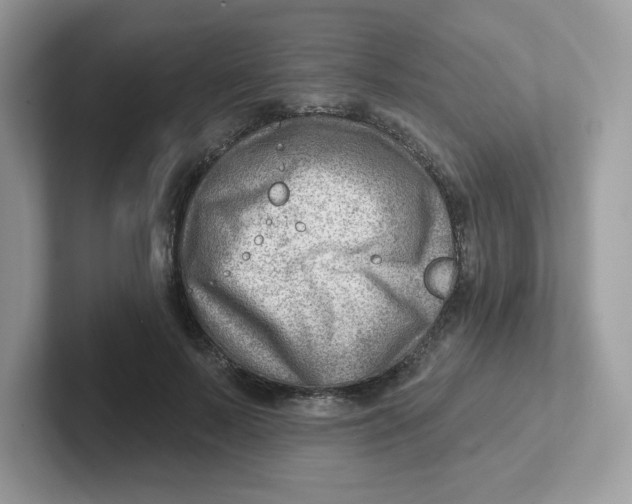 X0000101470695200807281020