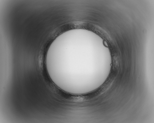 X0000101470698200807281019