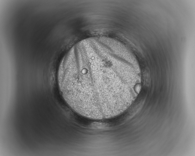 X0000101470699200807281019