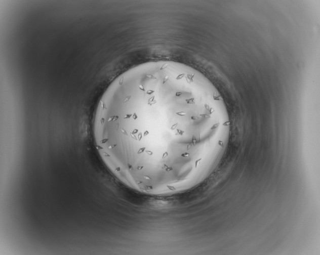 X0000101470706200807281019