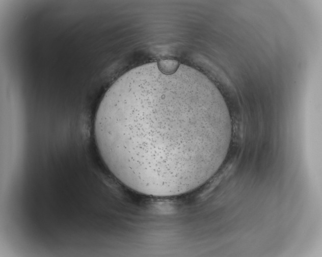 X0000101470710200807281019