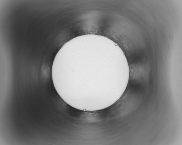 X0000101470713200807281019