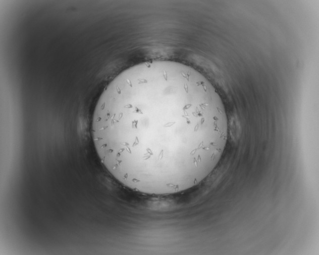 X0000101470714200807281019