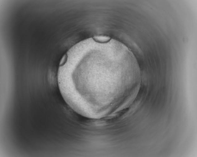 X0000101470719200807281019