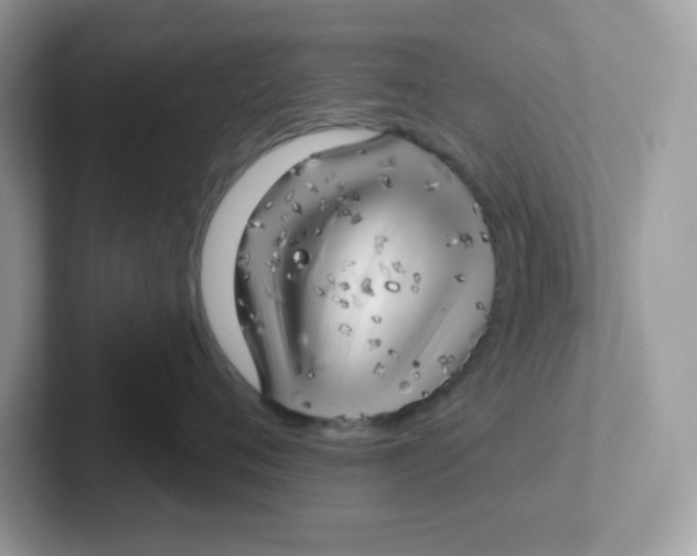 X0000101470720200807281019