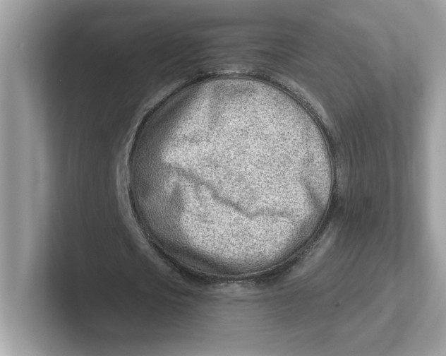 X0000101470721200807281019