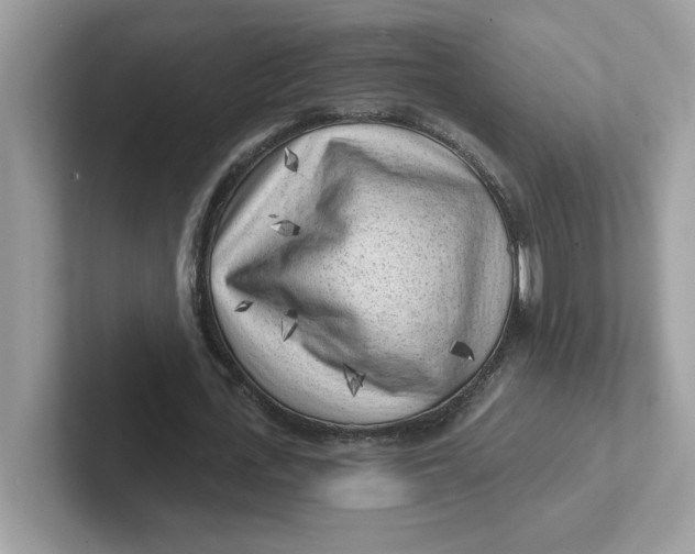 X0000101470723200807281019