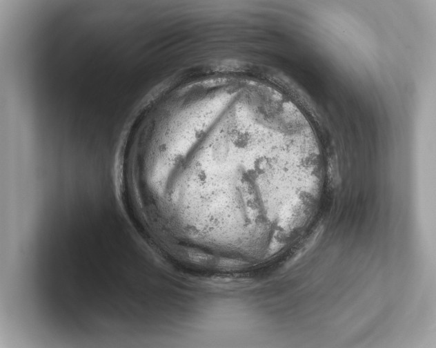 X0000101470725200807281019