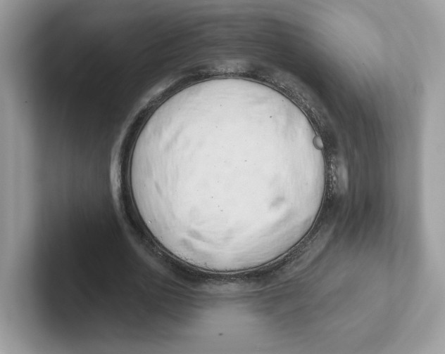 X0000101470726200807281019