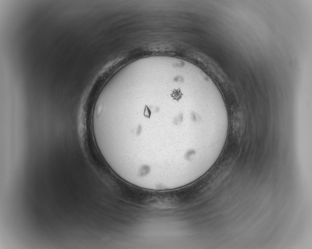 X0000101470727200807281019