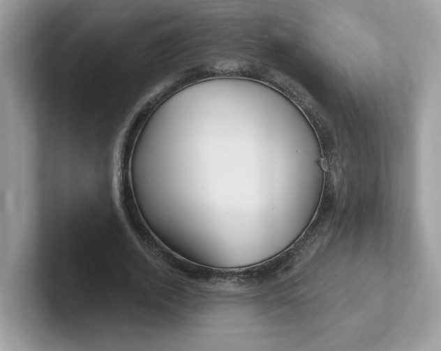 X0000101470728200807281019