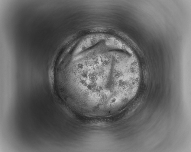 X0000101470729200807281019