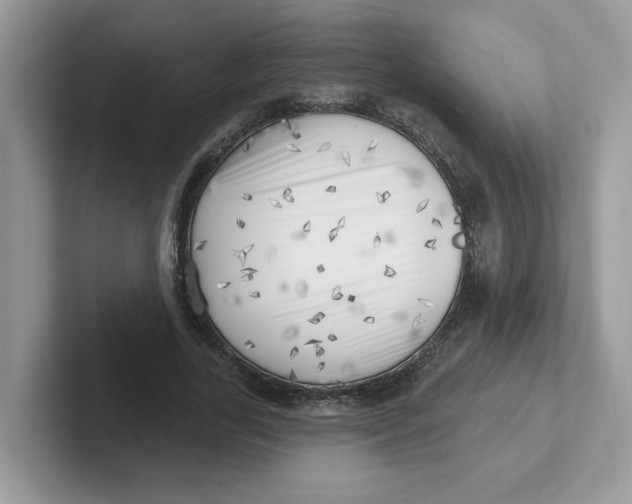 X0000101470731200807281019