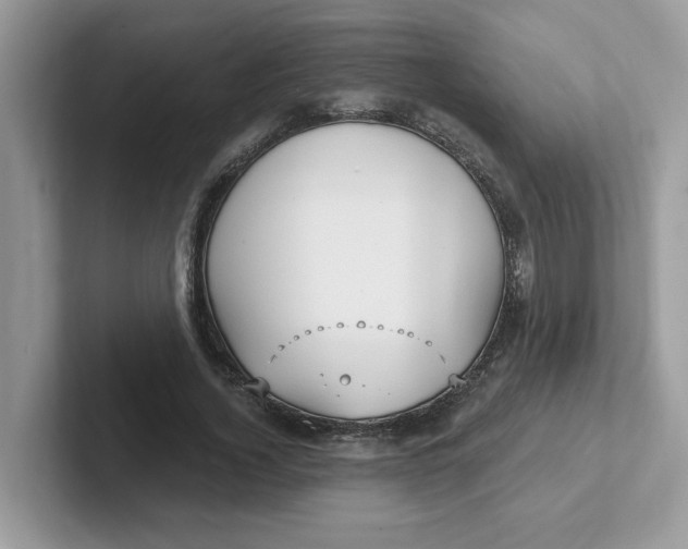 X0000101470732200807281019