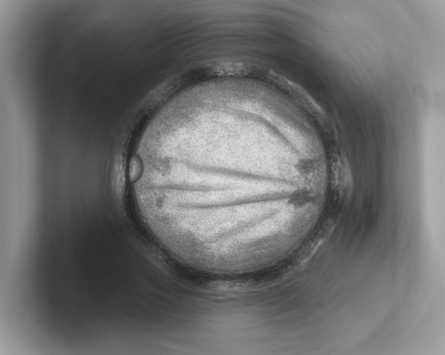 X0000101470733200807281019