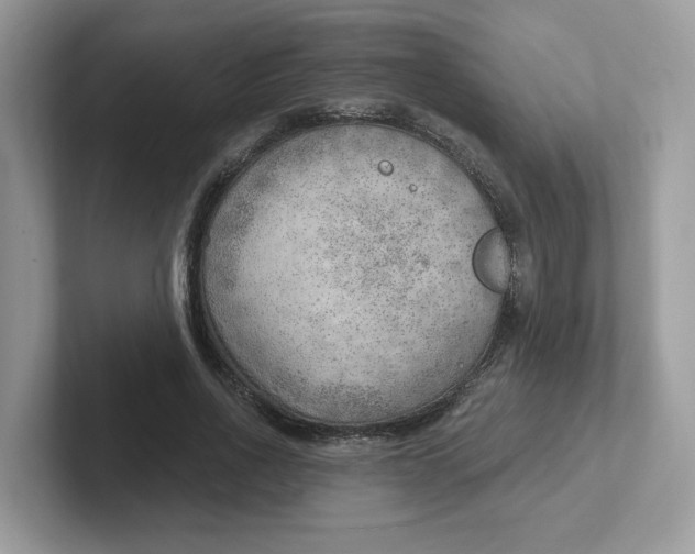 X0000101470734200807281019