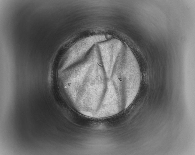 X0000101470735200807281019