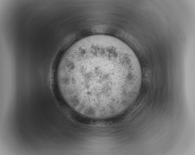 X0000101470738200807281019