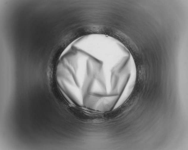 X0000101470739200807281019