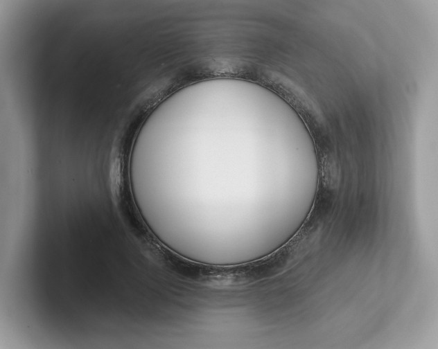 X0000101470740200807281019