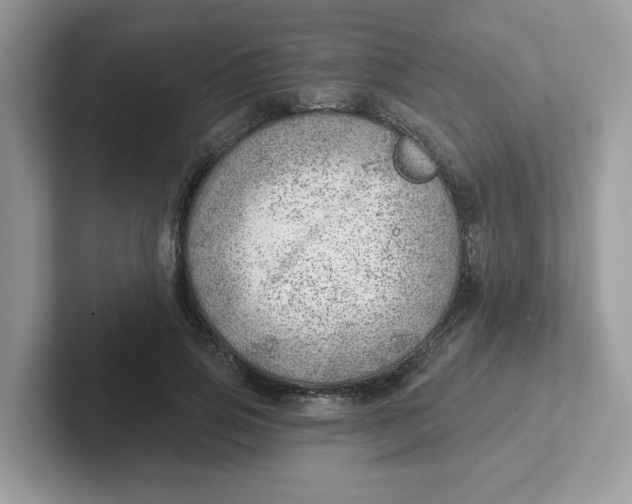 X0000101470741200807281019