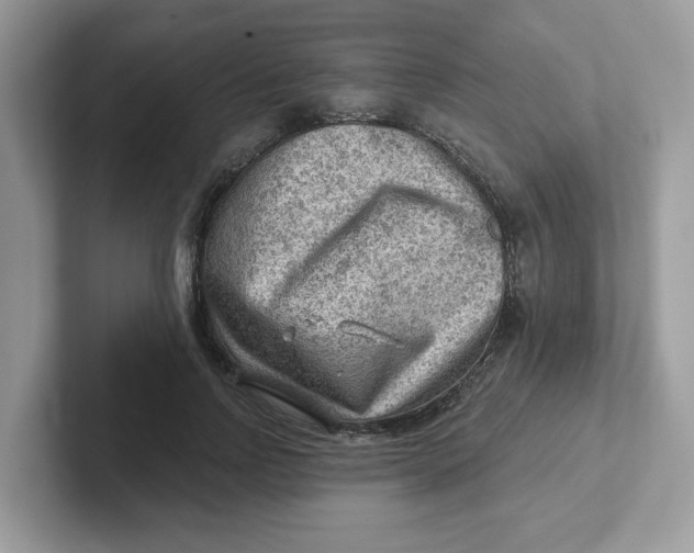 X0000101470742200807281019