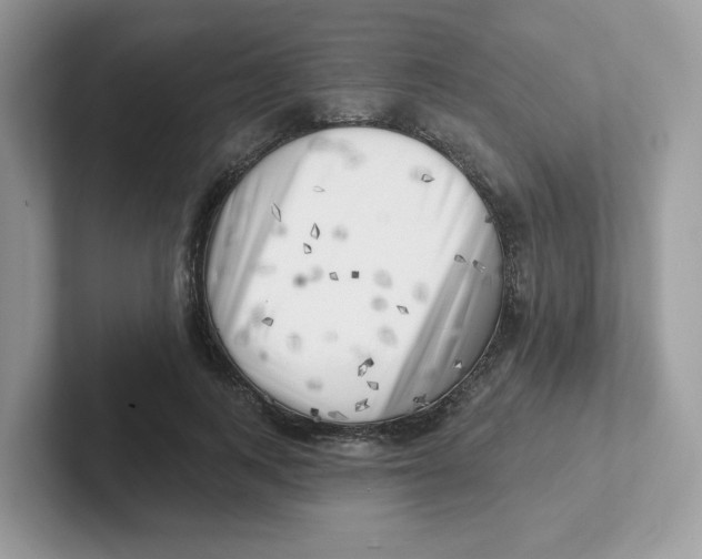 X0000101470743200807281019