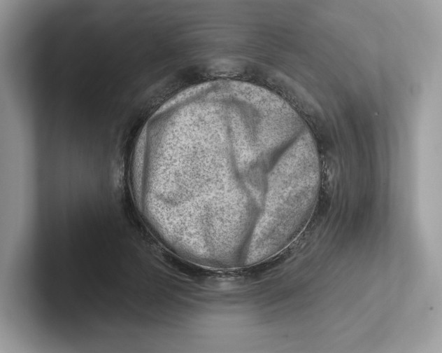 X0000101470745200807281019