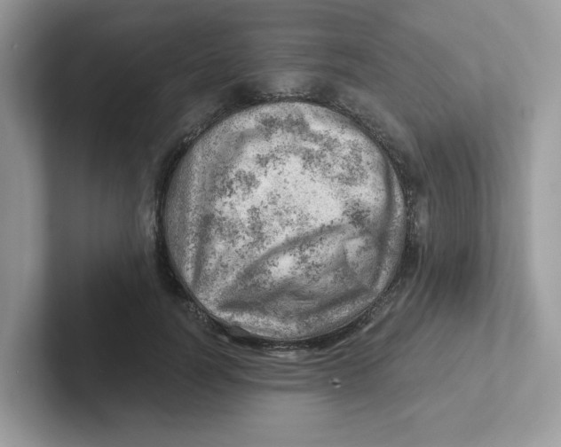 X0000101470746200807281019