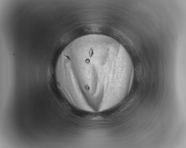 X0000101470747200807281019