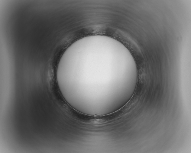 X0000101470748200807281019