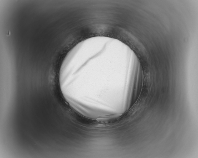 X0000101470750200807281019