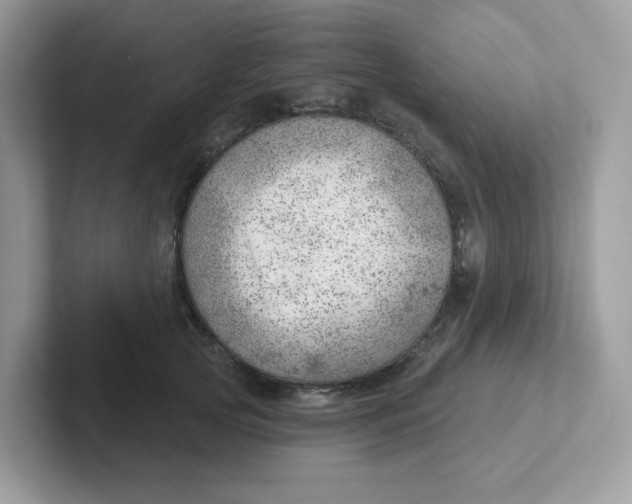 X0000101470753200807281019