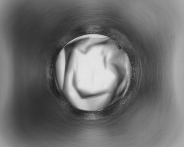 X0000101470755200807281019